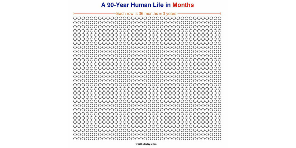 wait-but-why-months-trl